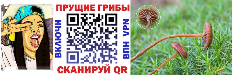 купить наркотик  мега ONION  Галлюциногенные грибы мухоморы  Звенигород 