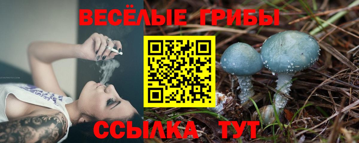 Псилоцибиновые грибы Magic Shrooms Звенигород