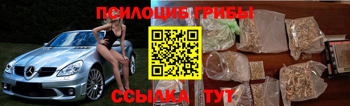 Галлюциногенные грибы Cubensis Звенигород